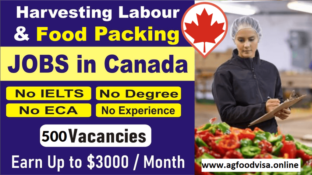 food packing jobs